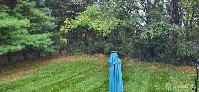 a backyard of a house with lots of plants and large tree