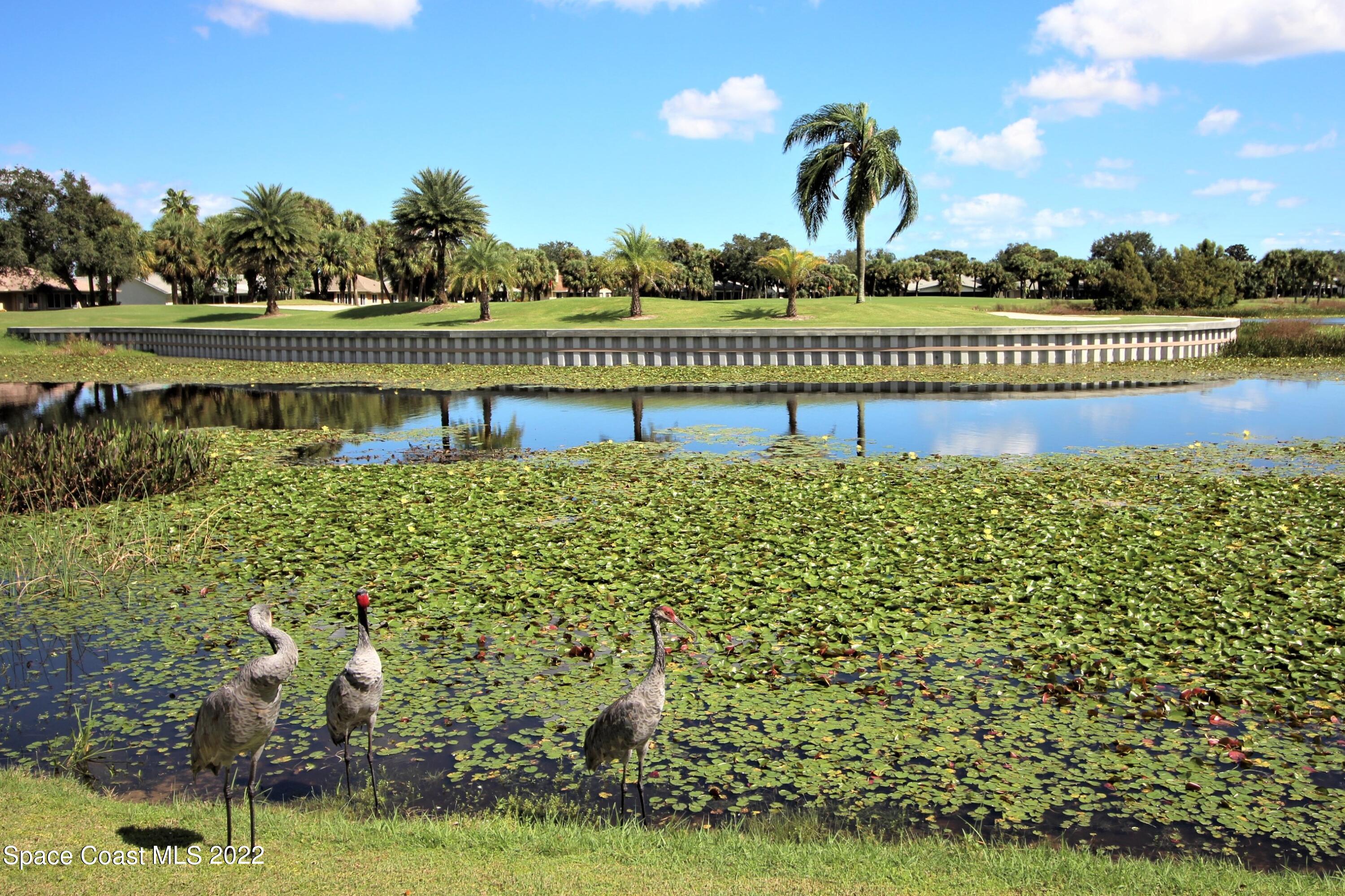 1425 Kitty Hawk Way Melbourne, FL 32940 - Photo 44 of 53 a view of a garden