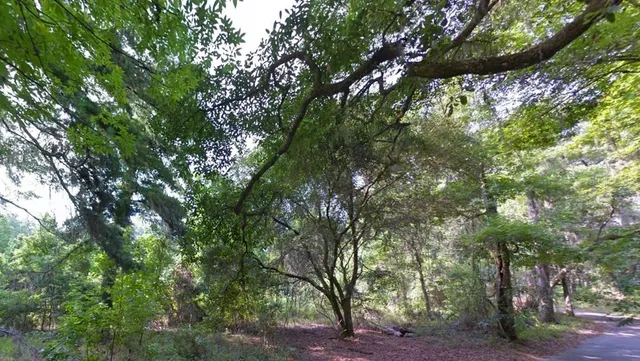 $165,999 | 0 Moorhen Circle, Tallahassee, FL 32312