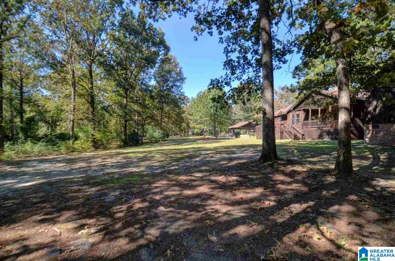 1351 Poplar Springs Road Clanton, AL 35046 - Photo 45 of 50