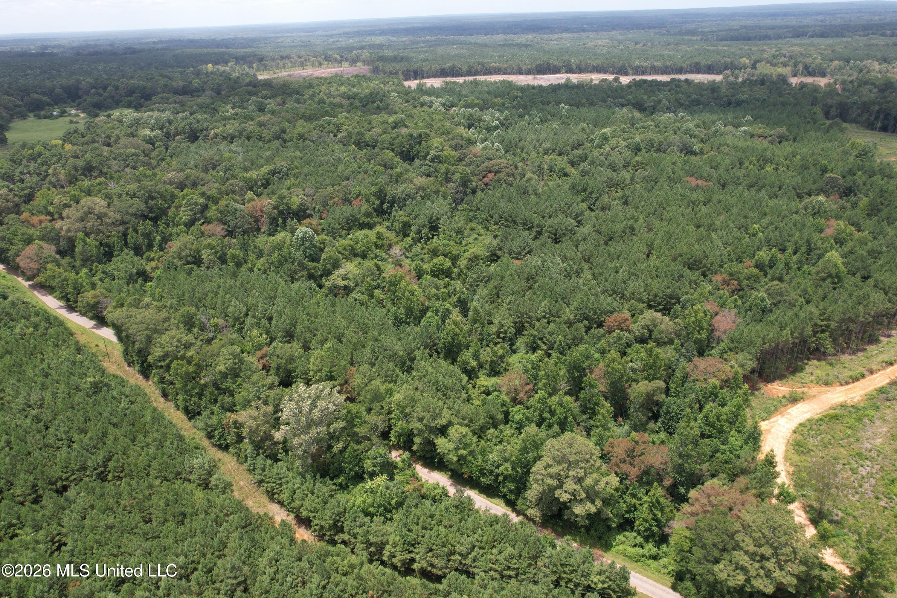 Smith County Road Pulaski, MS 39152 - Photo 14 of 47 DJI_0675