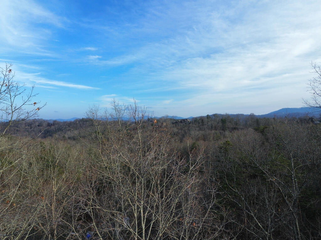 2 Century Lane Blue Ridge, GA 30513 - Photo 34 of 50 Gallery Image 34