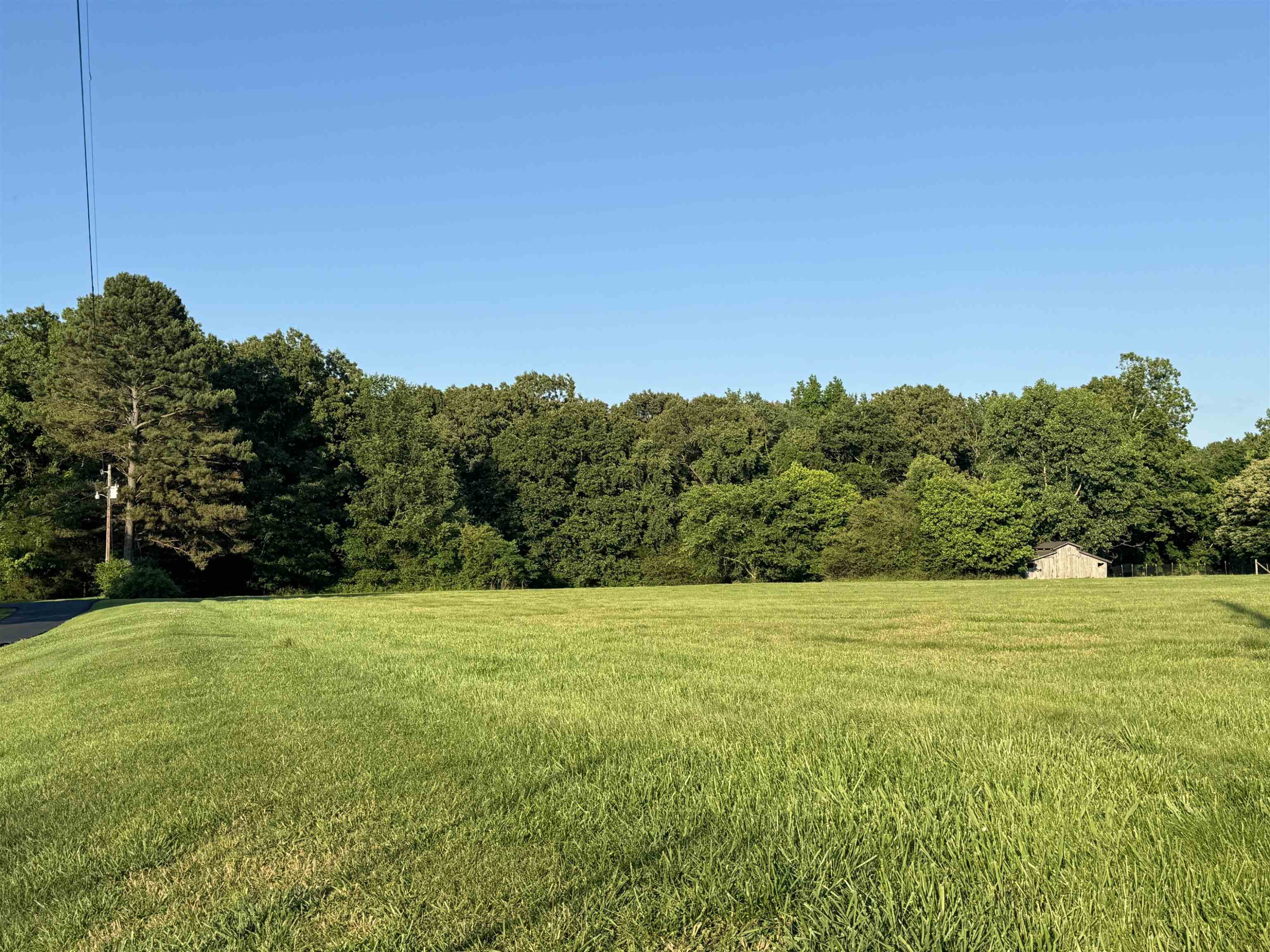 594 Watson Road Jackson, TN 38305 - Photo 2 of 10 Photo 3