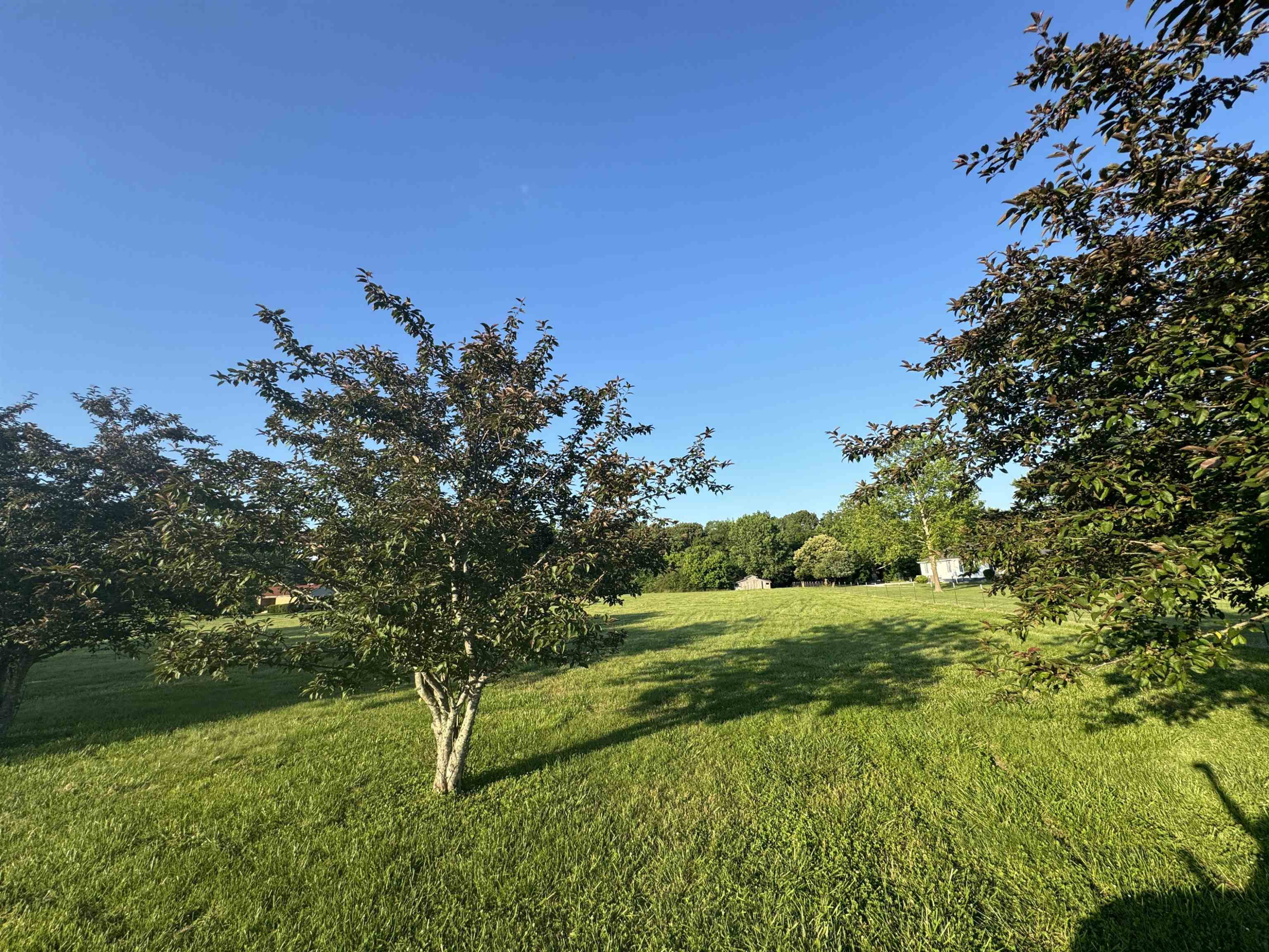 594 Watson Road Jackson, TN 38305 - Photo 7 of 10 Photo 9