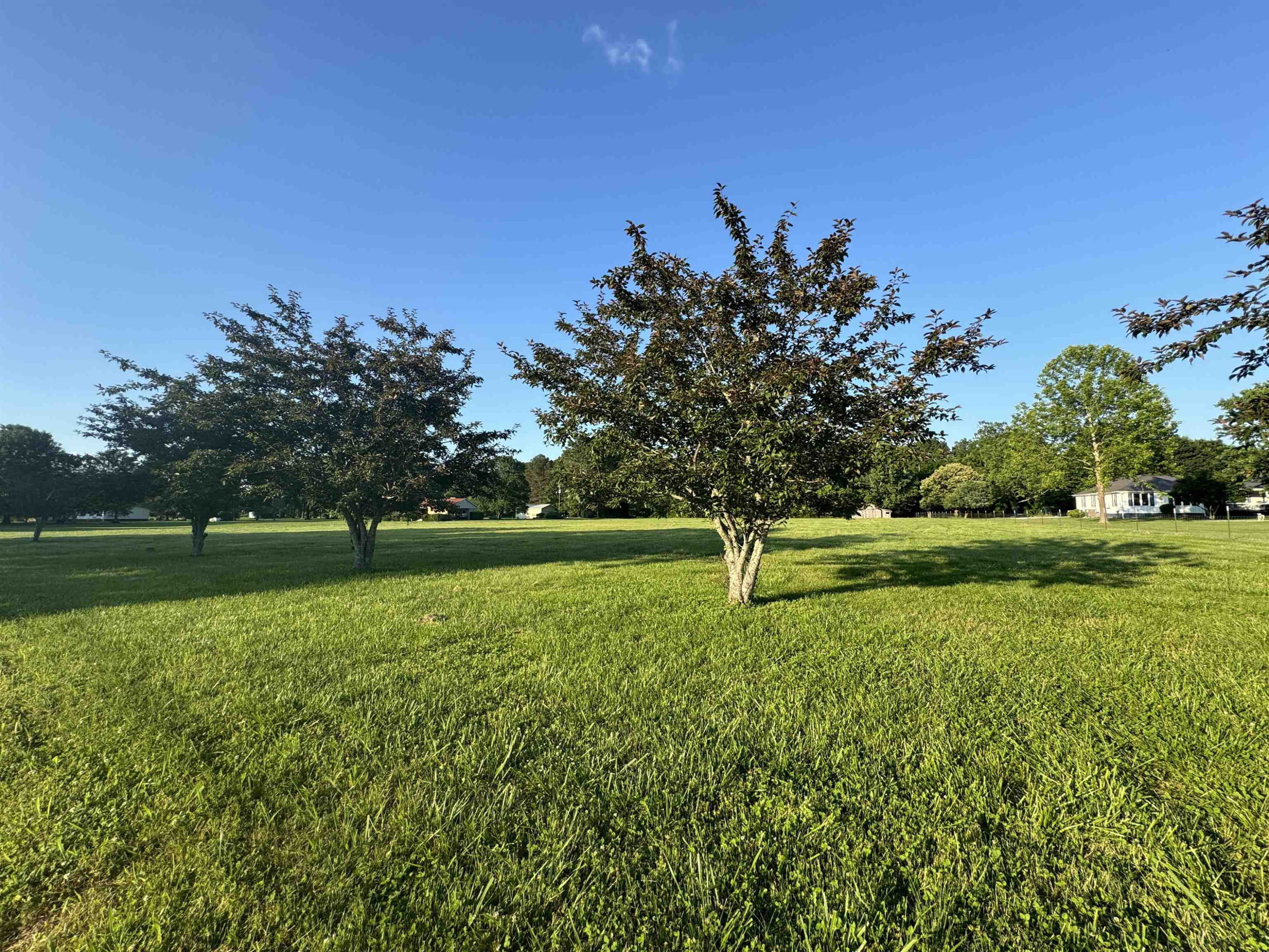 594 Watson Road Jackson, TN 38305 - Photo 9 of 10 Photo 11
