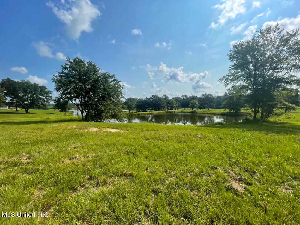 Lot 11 Conner Stringer Drive Lucedale, MS 39452 - Photo 30 of 54 IMG_2300