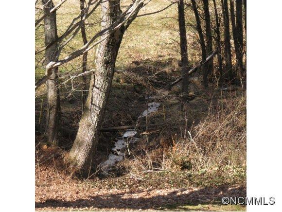2005 Ratcliff Cove Road Waynesville, NC 28786 - Photo 20 of 20 a picture of a tree