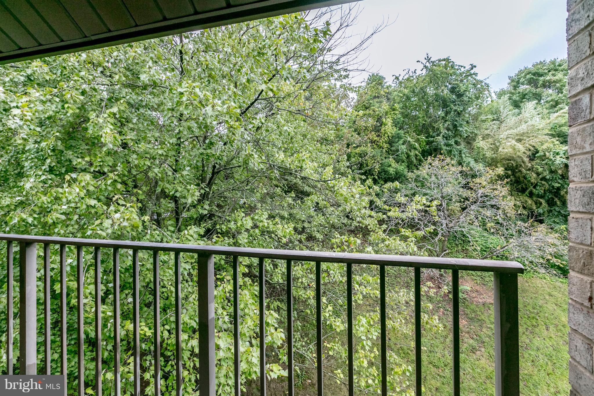 6155 Edsall Road, Unit O Alexandria, VA 22304 - Photo 3 of 25 Exterior (Front)