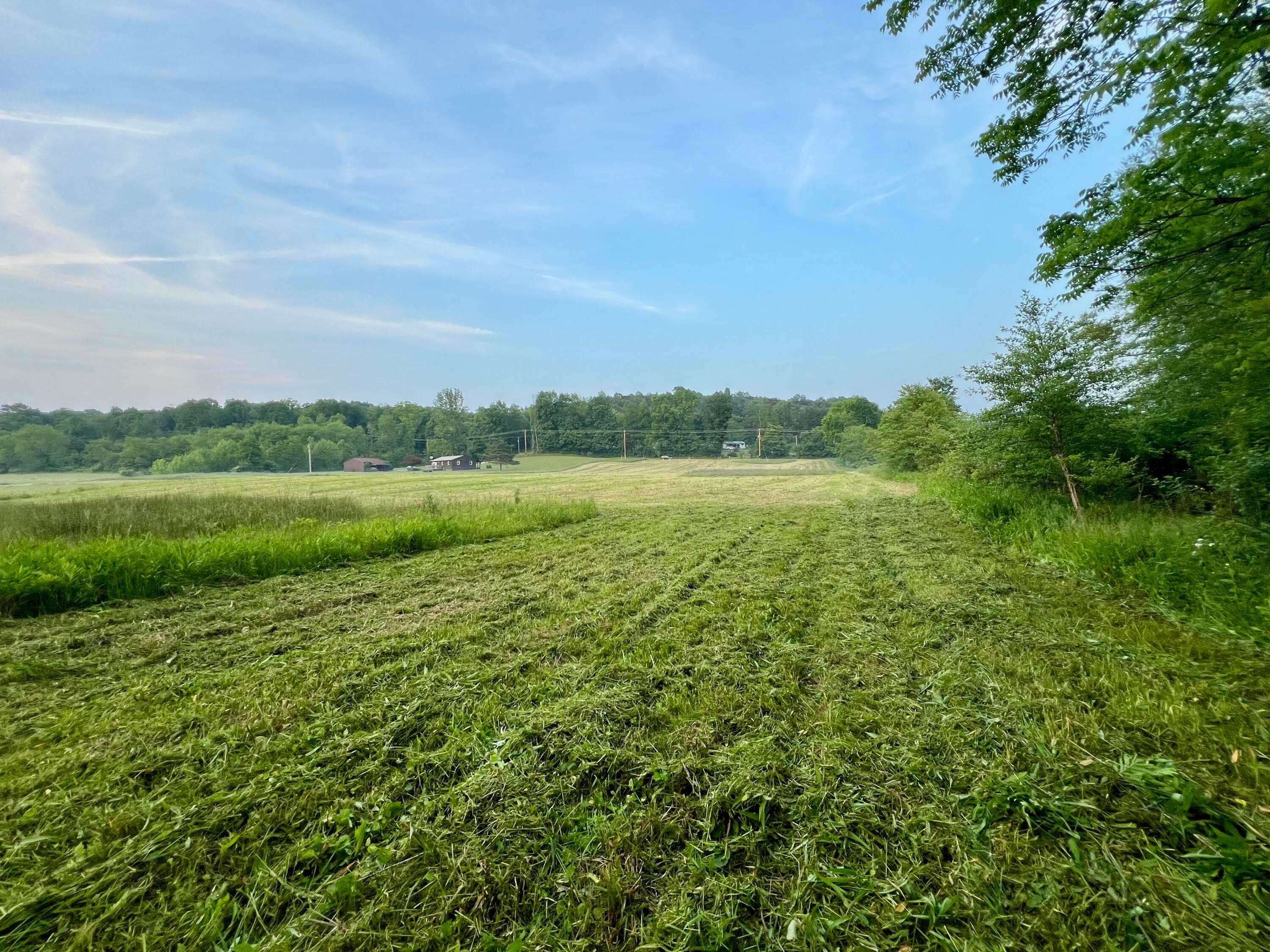 21421 Griffith Road Logan, OH 43138 - Photo 15 of 20 IMG_2367