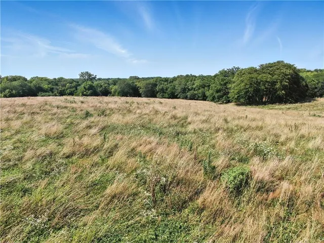 $975,000 | 14805 Southeast McBee Chappel Drive, Braymer, MO 64624