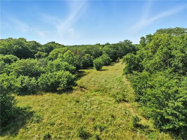 $975,000 | 14805 Southeast McBee Chappel Drive, Braymer, MO 64624