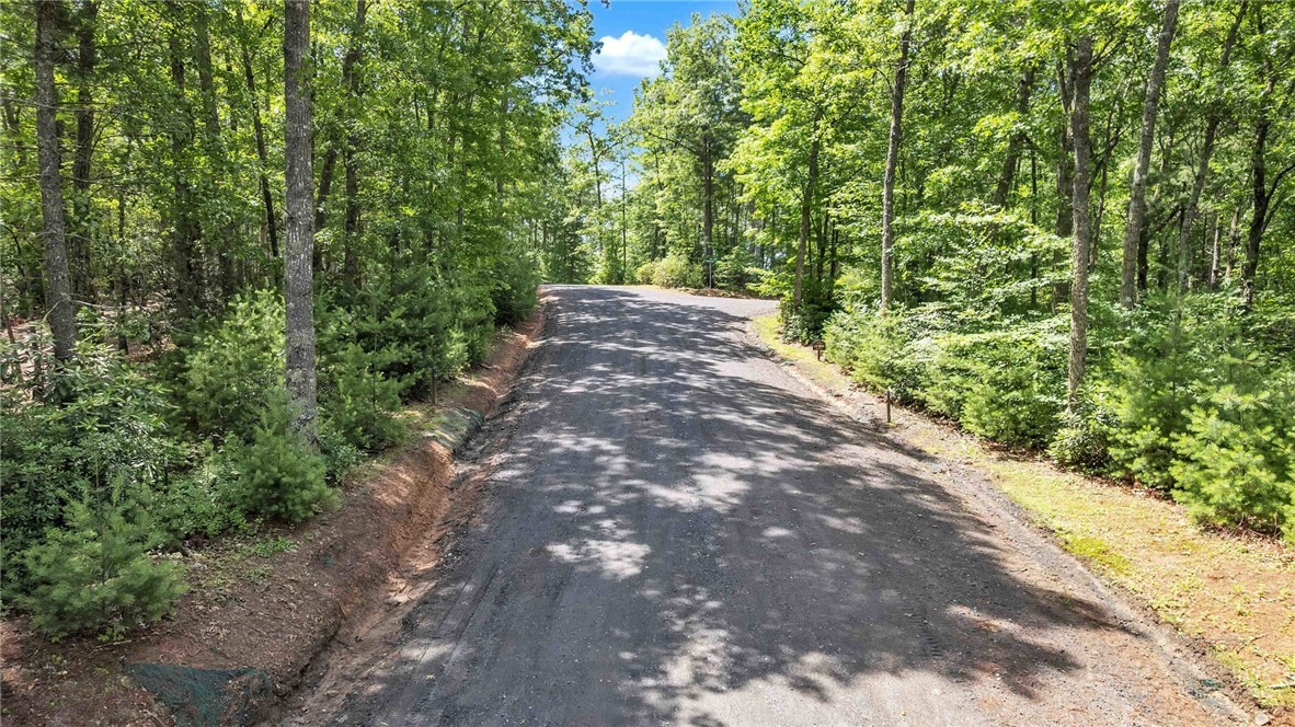 Lot 42 Smoke Rise Path West Jefferson, NC 28694 - Photo 4 of 9