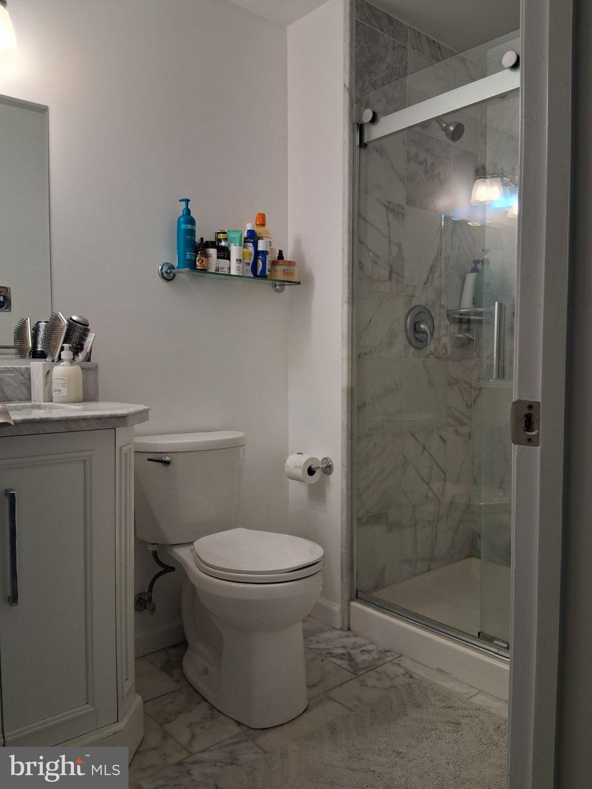 13944 Seneca Ridge Drive Hagerstown, MD 21740 - Photo 36 of 41 Modern bathroom with elegant finishes.