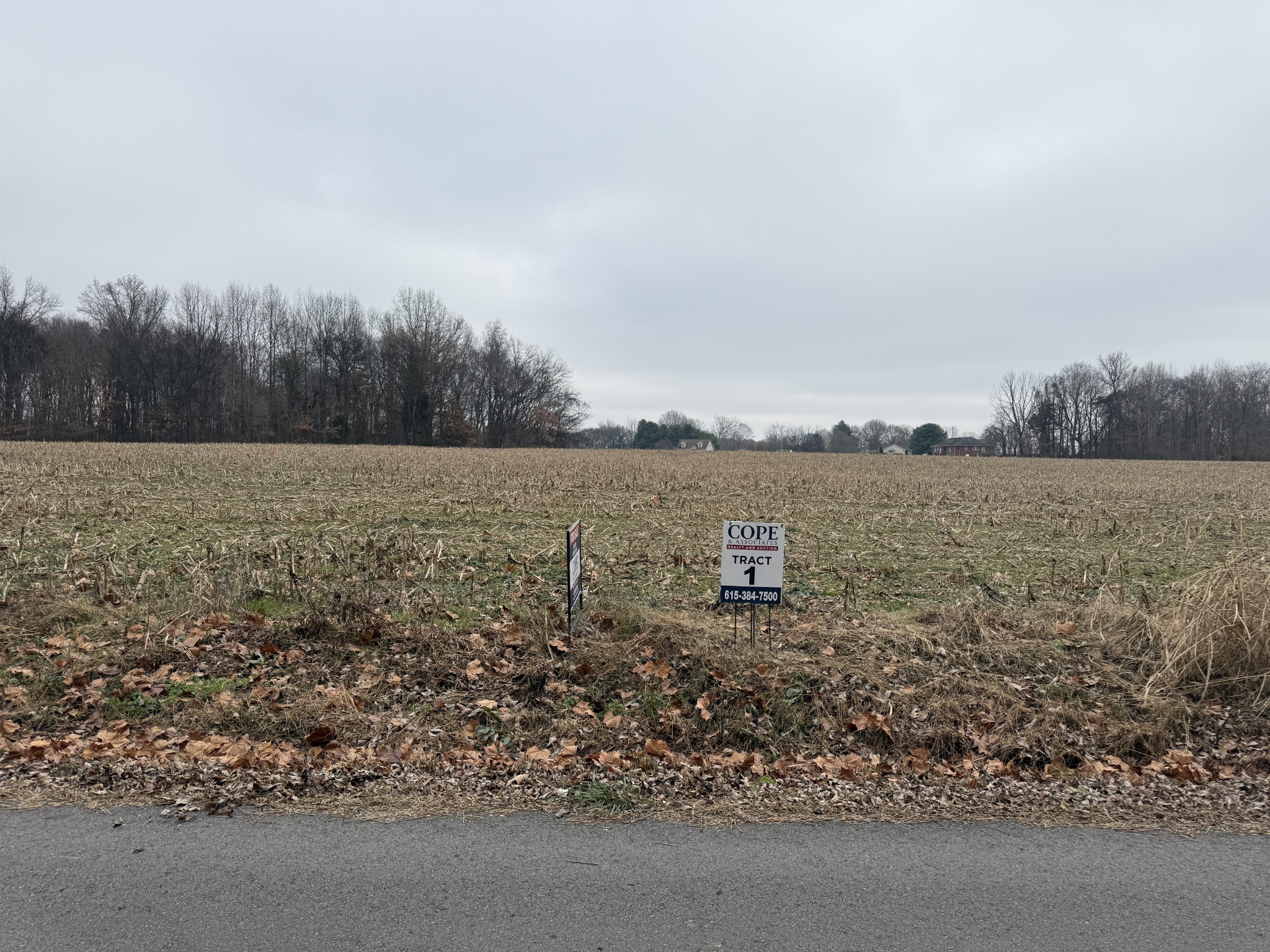 0 Beards Chapel Road Springfield, TN 37172 - Photo 3 of 5 Gallery Image 3