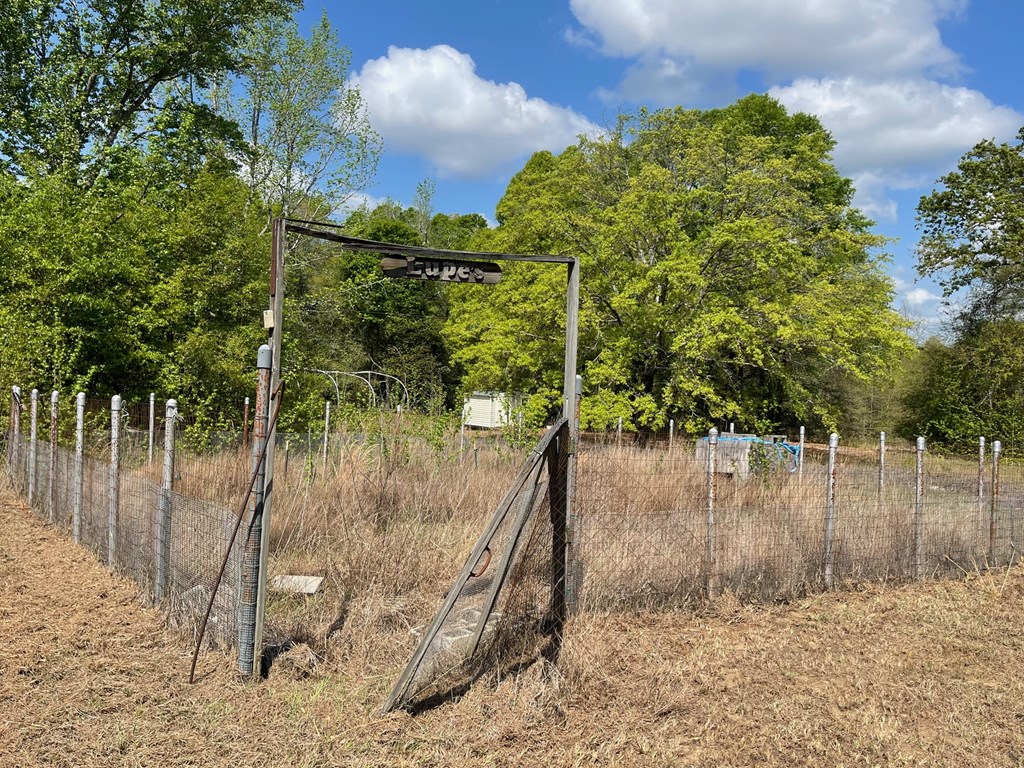 435 Ga Highway Cusseta, GA 31805 - Photo 33 of 35
