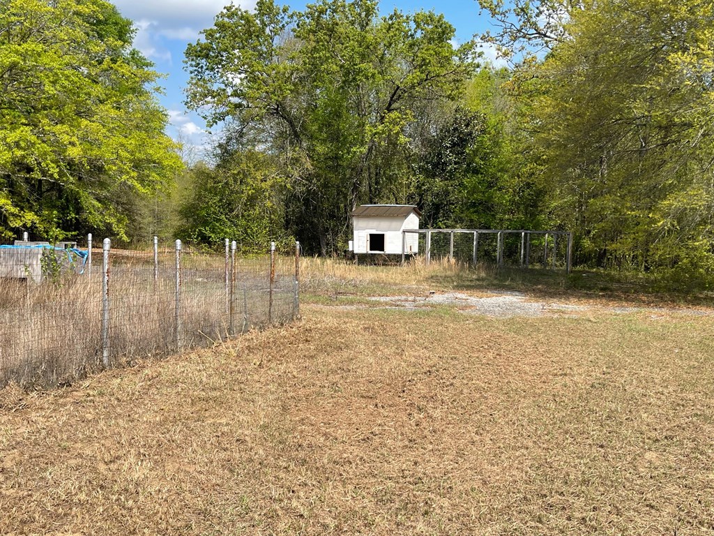 435 Ga Highway Cusseta, GA 31805 - Photo 34 of 35