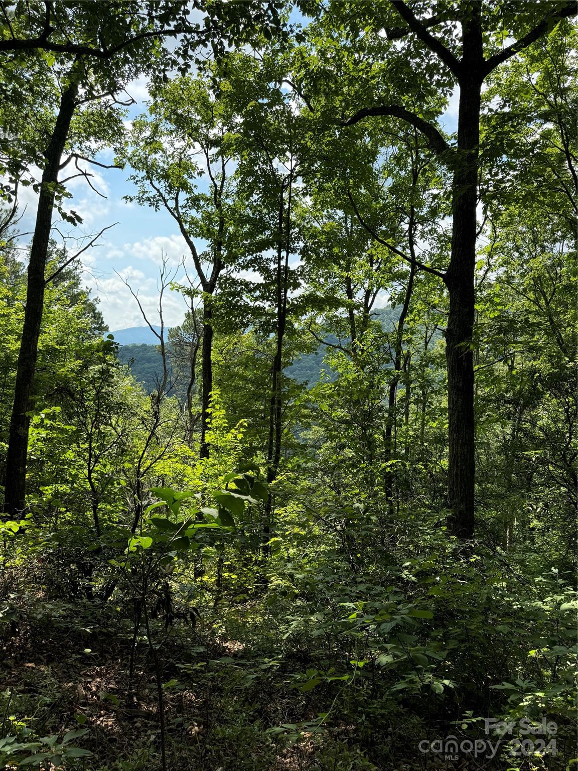 0 Warren Creek Road Candler, NC 28715 - Photo 12 of 14 Gallery Image 12