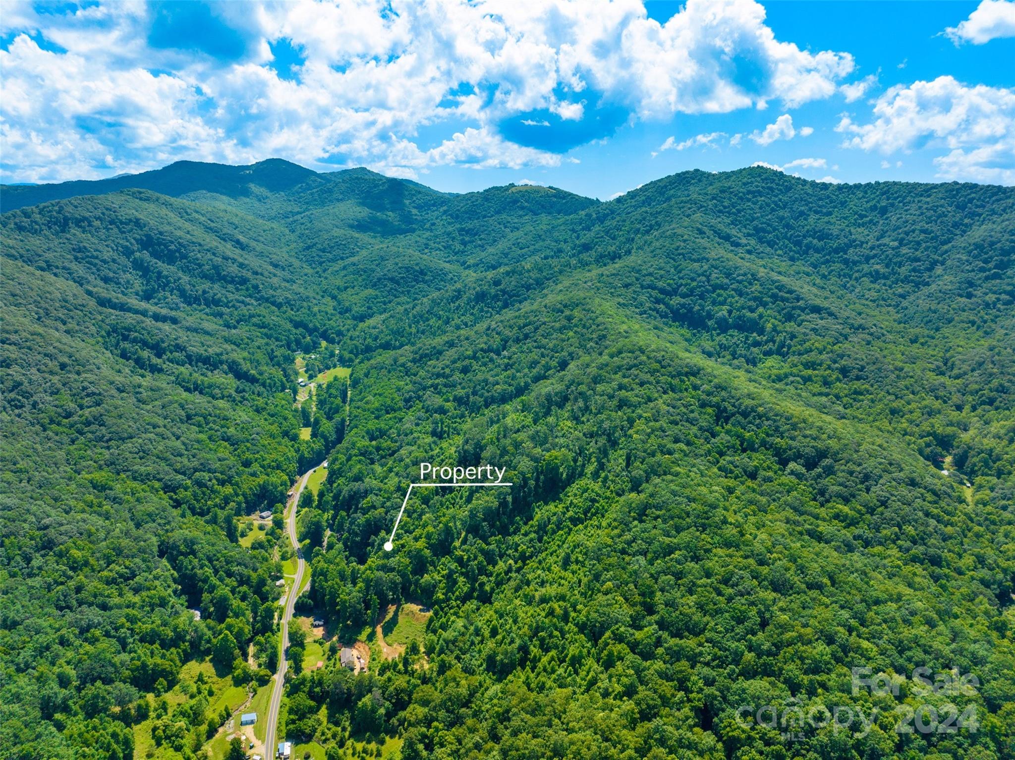 0 Warren Creek Road Candler, NC 28715 - Photo 3 of 14 Gallery Image 3