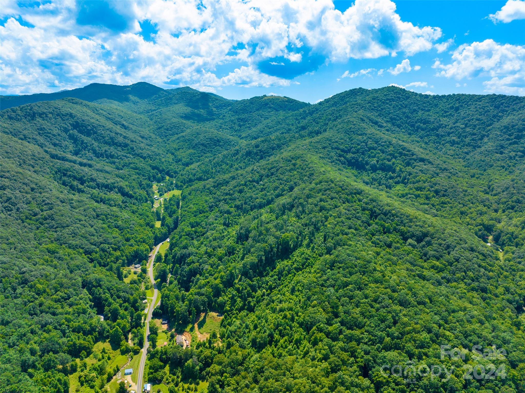 0 Warren Creek Road Candler, NC 28715 - Photo 7 of 14 Gallery Image 7