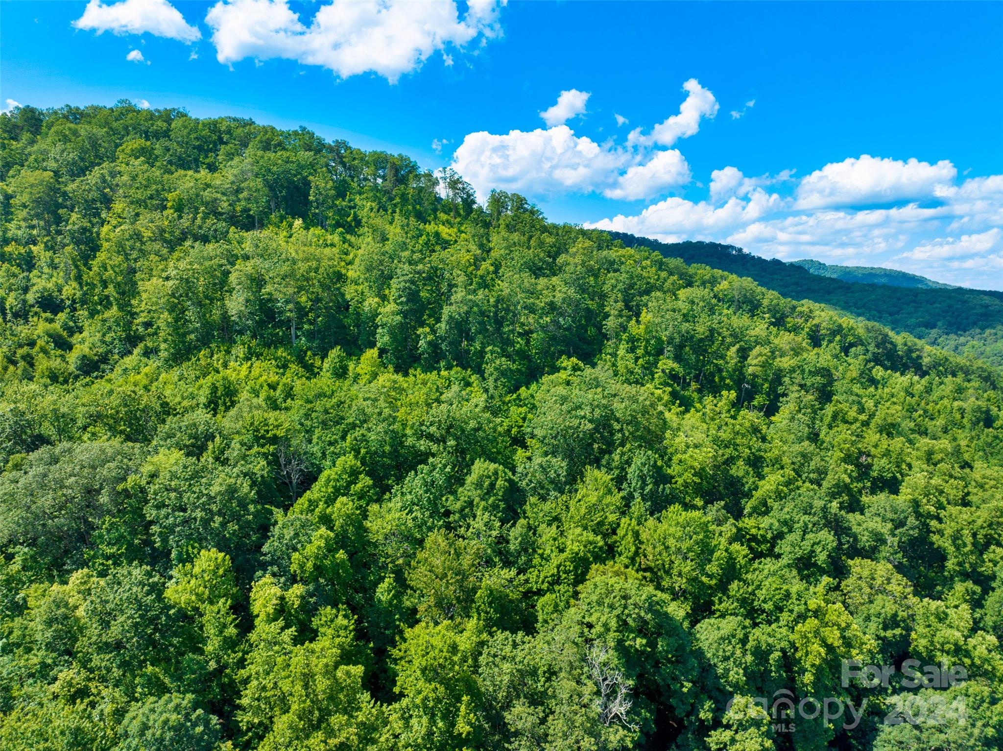 0 Warren Creek Road Candler, NC 28715 - Photo 9 of 14 Gallery Image 9