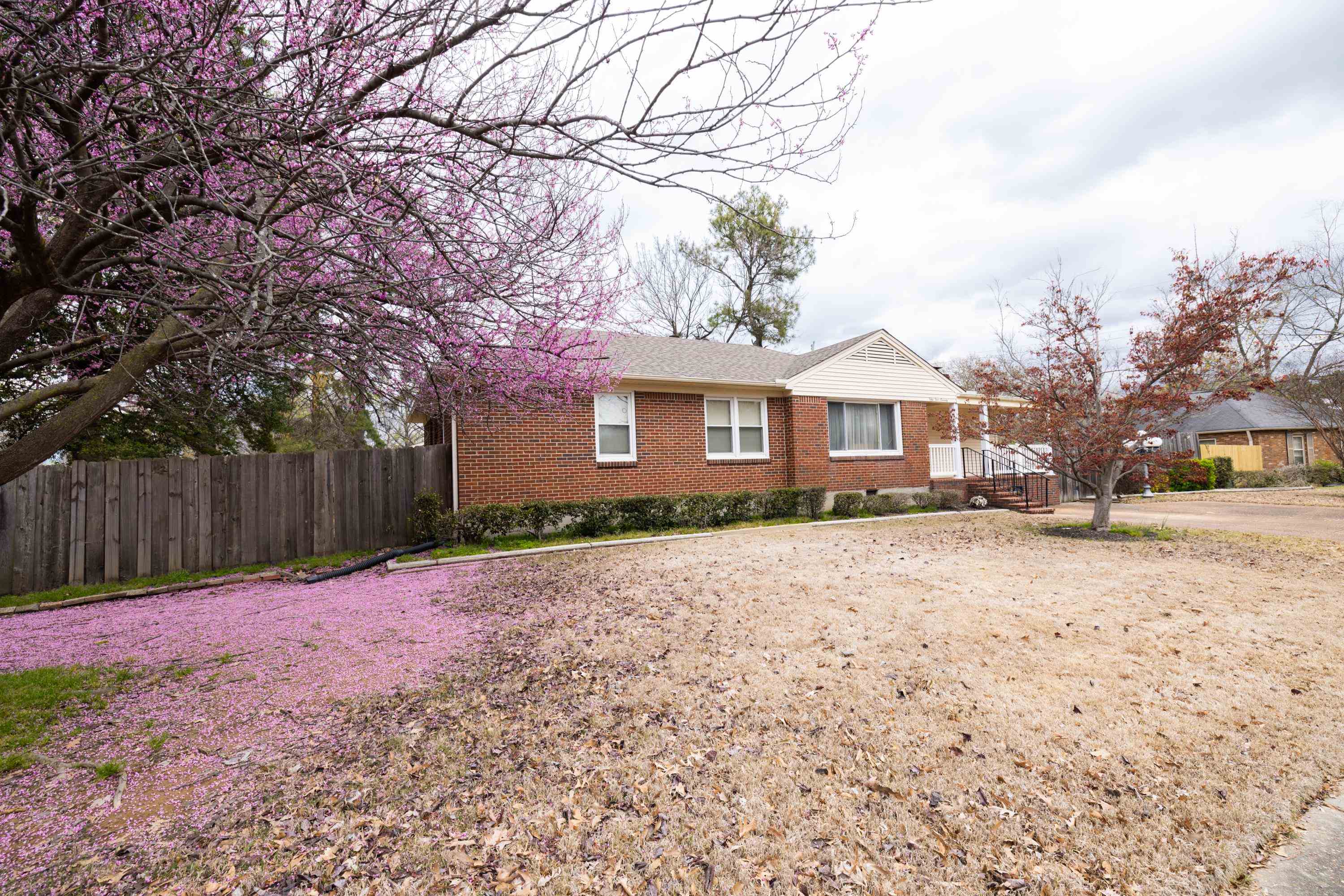 5570 Melvin Road Memphis, TN 38120 - Photo 2 of 25 Gallery Image 2