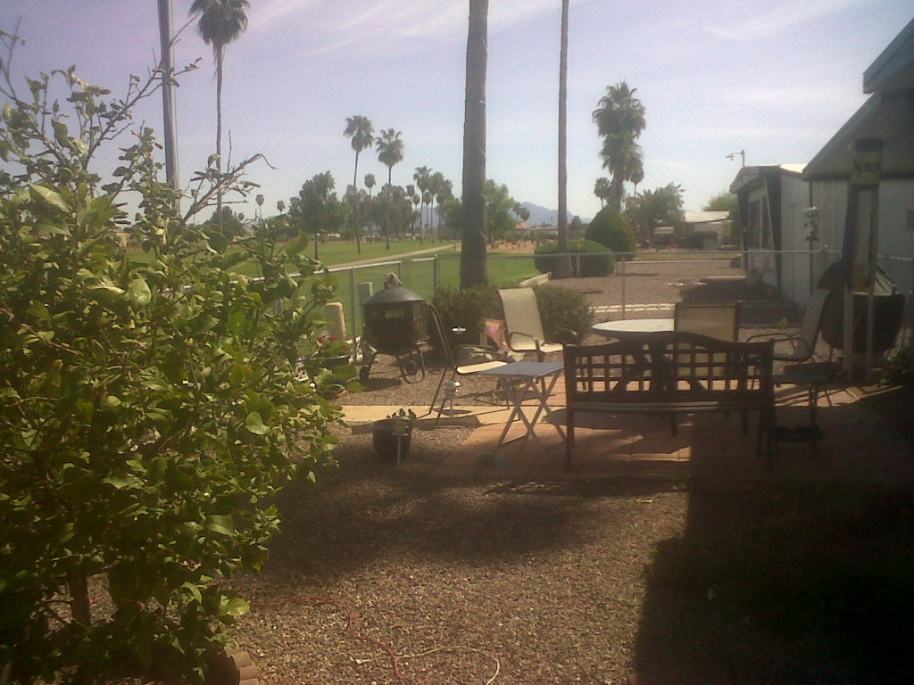 7232 East Baseline Road Mesa, AZ 85209 - Photo 11 of 12 View From Family Room