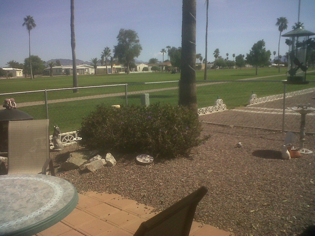 7232 East Baseline Road Mesa, AZ 85209 - Photo 7 of 12 View of the Golf Course