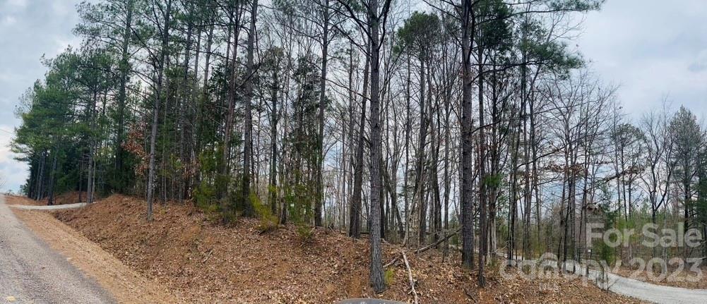 656 Fairforest Road Chester, SC 29706 - Photo 17 of 22 a view of a forest