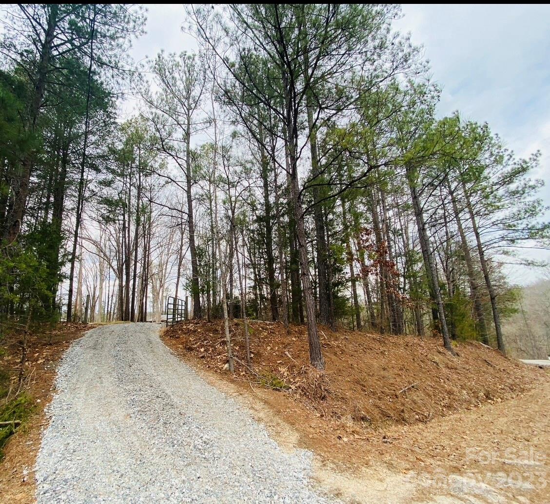 656 Fairforest Road Chester, SC 29706 - Photo 22 of 22 a view of a yard with a tree