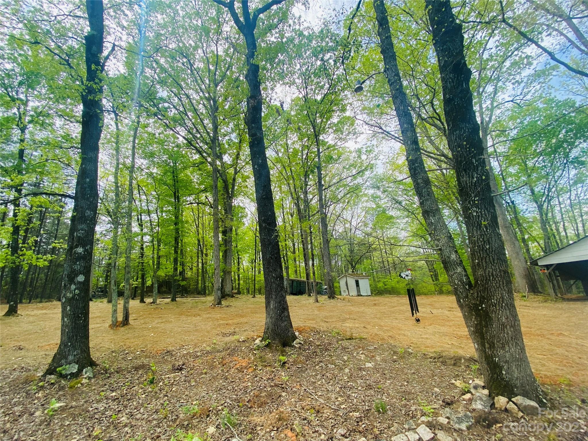 656 Fairforest Road Chester, SC 29706 - Photo 3 of 22 a view of a tree in a yard