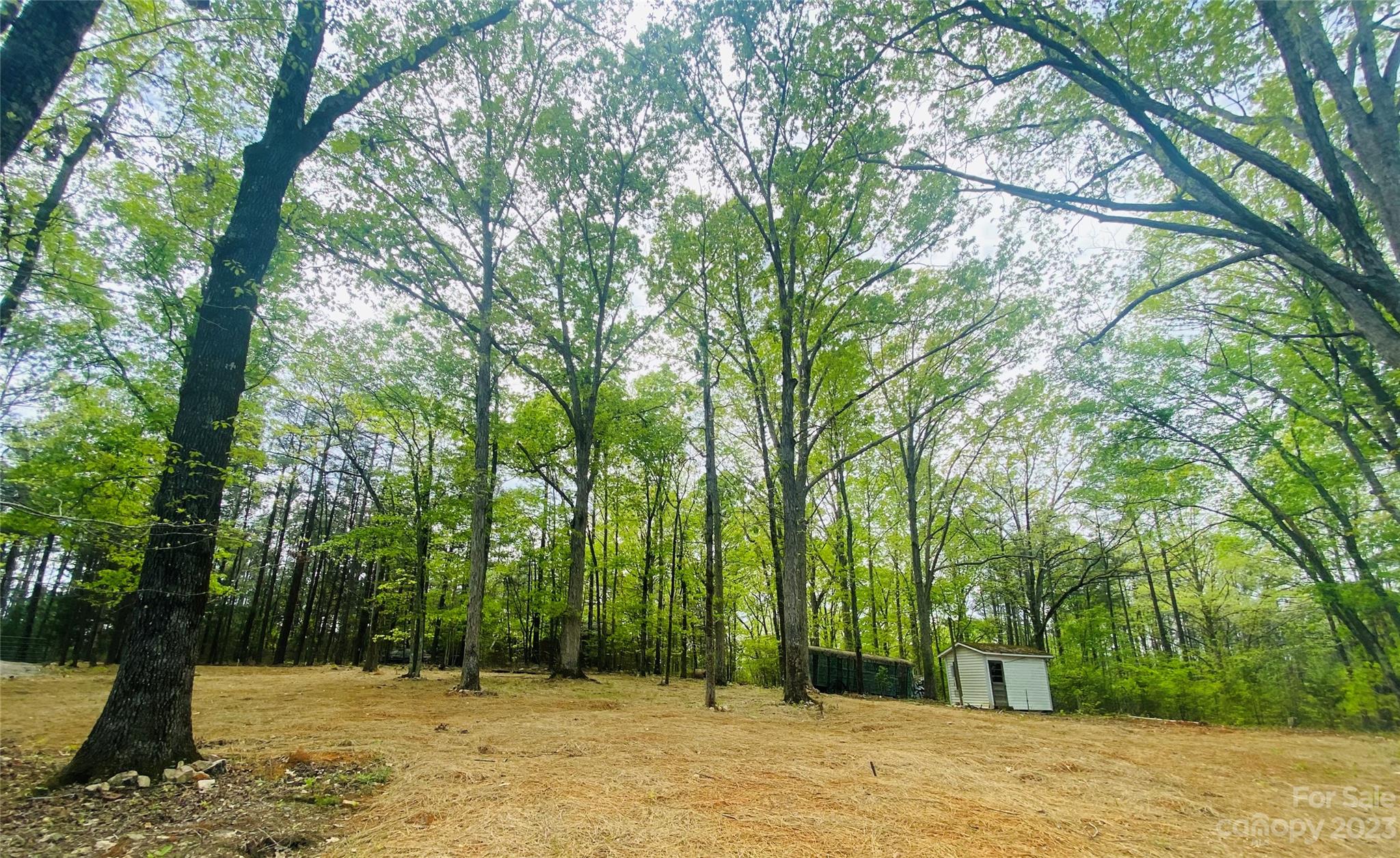 656 Fairforest Road Chester, SC 29706 - Photo 4 of 22 a house view with a backyard