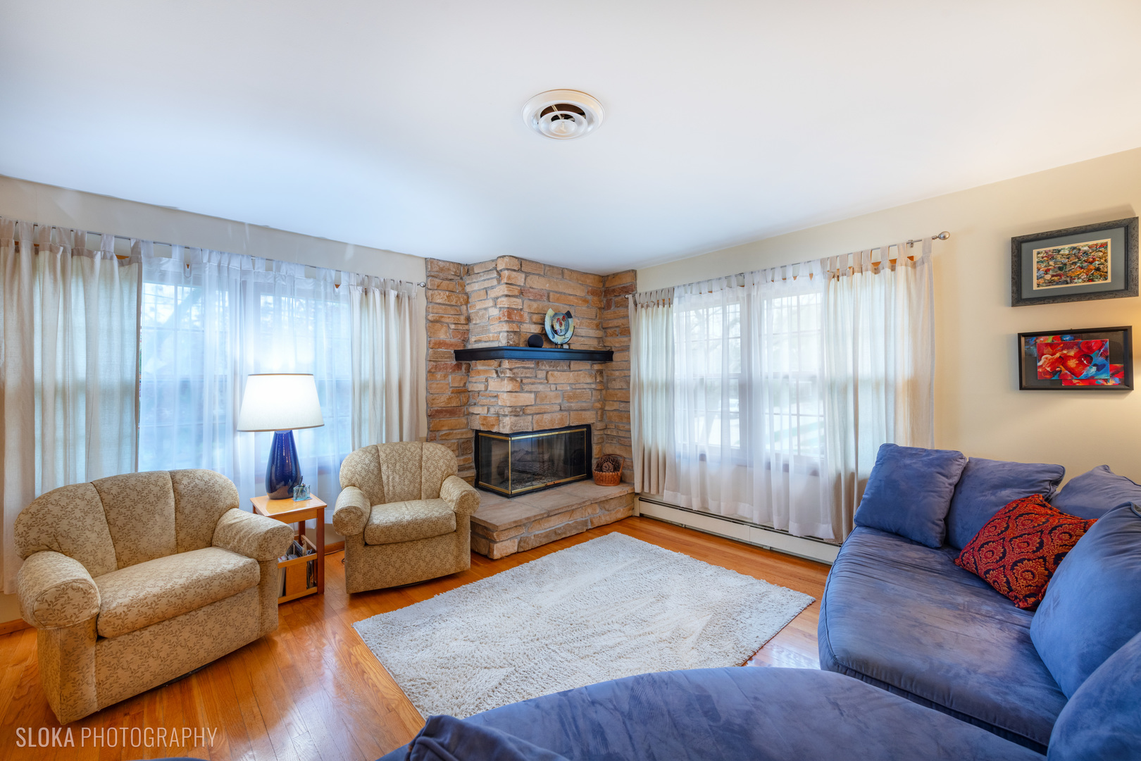 101 Clay Street Algonquin, IL 60102 - Photo 2 of 23 a living room with furniture and a fireplace
