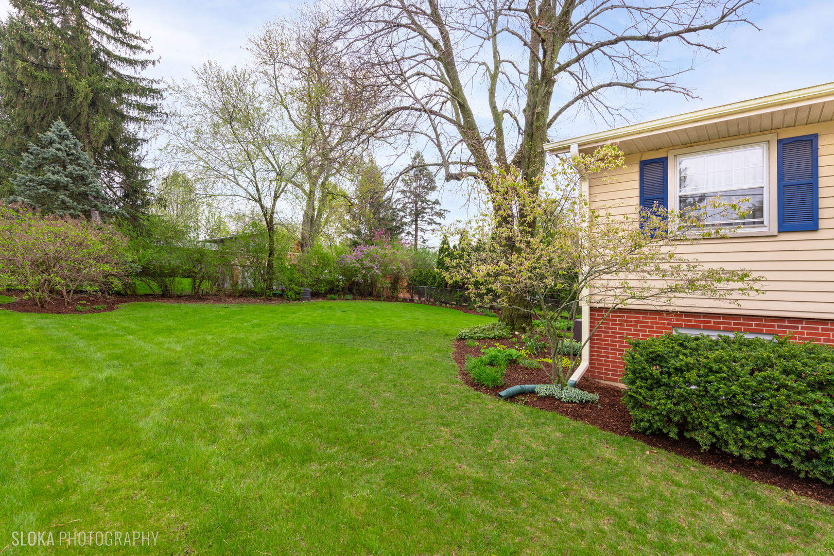 101 Clay Street Algonquin, IL 60102 - Photo 22 of 23 a view of a house with a backyard