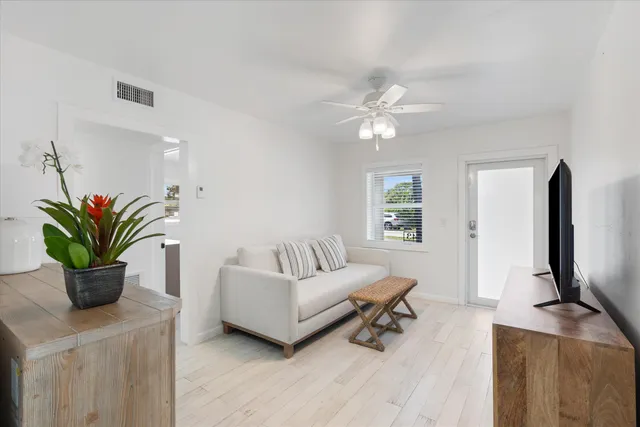 a living room with furniture a large potted plant and a fireplace