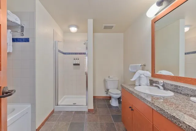 a bathroom with a granite countertop sink a toilet and shower
