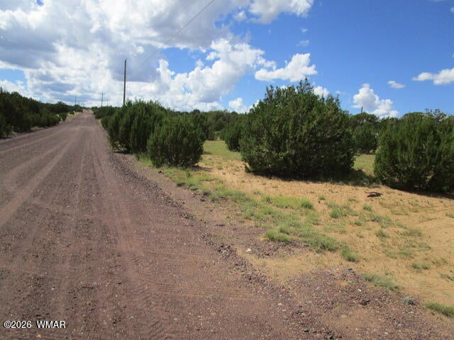 65 Co Road Concho, AZ 85924 - Photo 13 of 28 Gallery Image 13