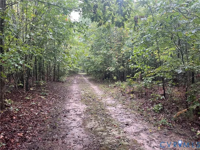 $150,000 | 0 Rocky Ford Road, Jetersville, VA 23083
