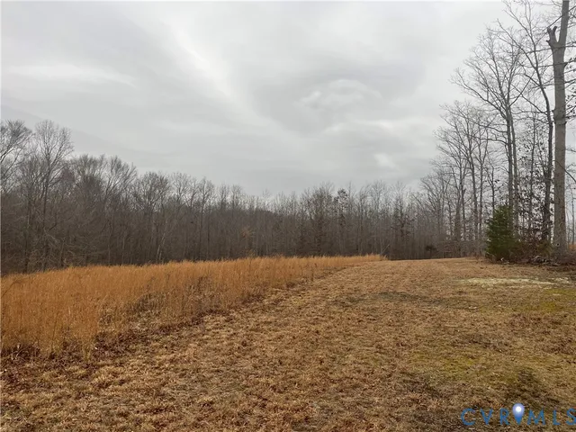 $150,000 | 0 Rocky Ford Road, Jetersville, VA 23083