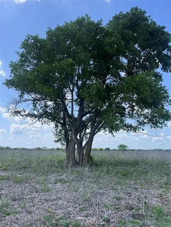 $151,000 | 28 Private Road 4311, Jonesboro, TX 76538
