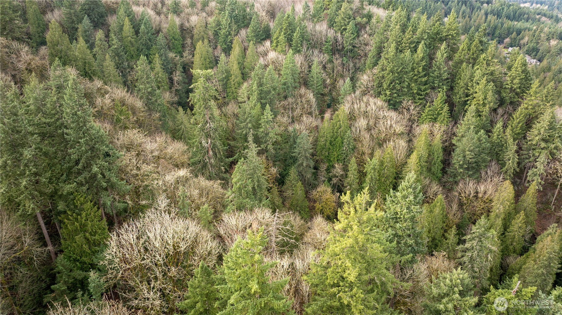 190-xx Southeast 66th Street Issaquah, WA 98027 - Photo 1 of 32 a view of a yard