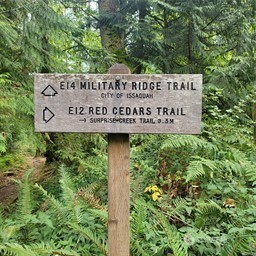 190-xx Southeast 66th Street Issaquah, WA 98027 - Photo 13 of 32 a sign broad in front of the red tree