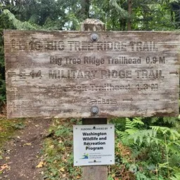 a view of a sign under a tree