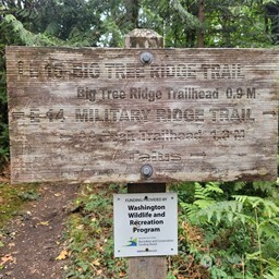 190-xx Southeast 66th Street Issaquah, WA 98027 - Photo 14 of 32 a view of multi story building