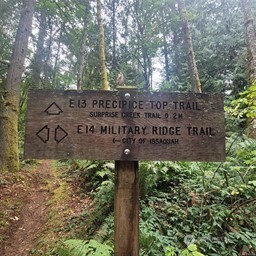 190-xx Southeast 66th Street Issaquah, WA 98027 - Photo 15 of 32 a view of a sign under a tree