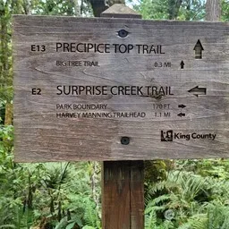 a sign that is on a tree