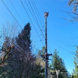 190-xx Southeast 66th Street Issaquah, WA 98027 - Photo 18 of 32 a view of a backyard