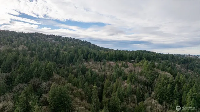 a view of a green field with a tree