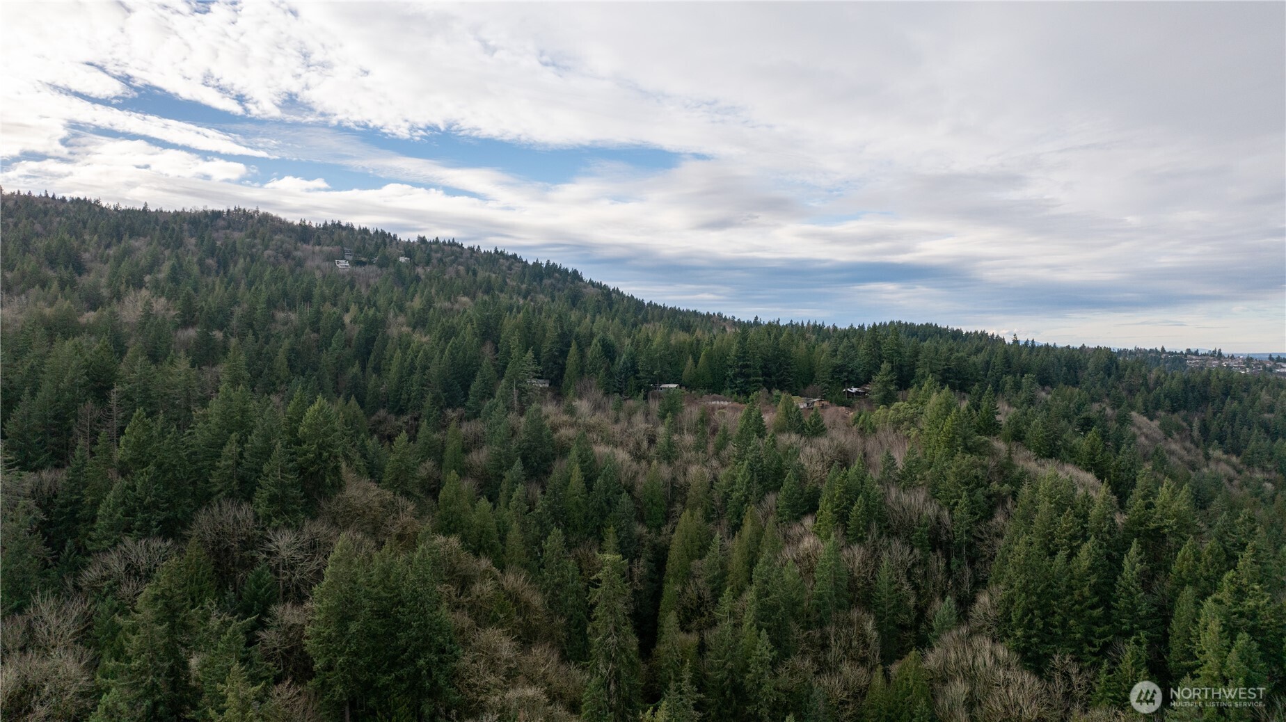 190-xx Southeast 66th Street Issaquah, WA 98027 - Photo 2 of 32 a view of a green field with a tree