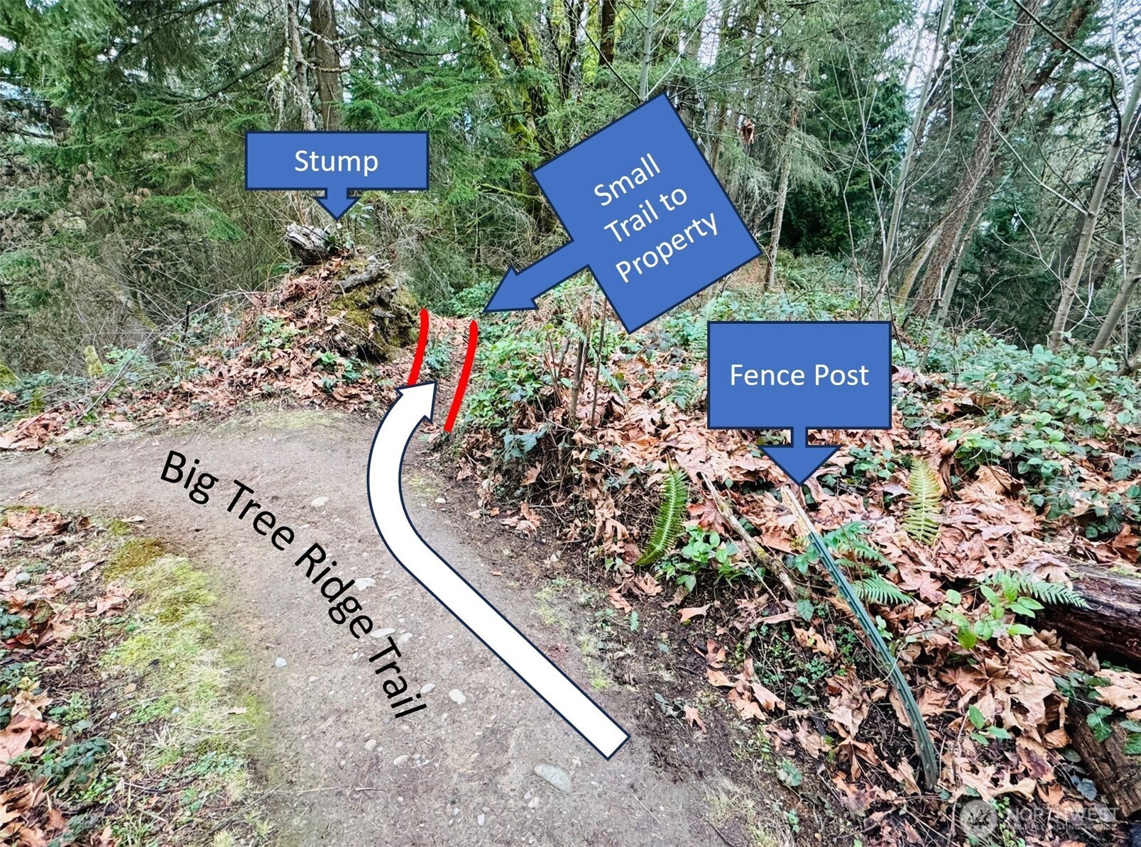 190-xx Southeast 66th Street Issaquah, WA 98027 - Photo 31 of 32 a sign that is on the side of the road