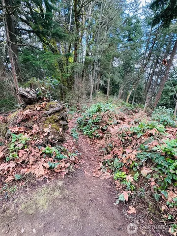 $15,360,000 | 190-xx Southeast 66th Street, Issaquah, WA 98027